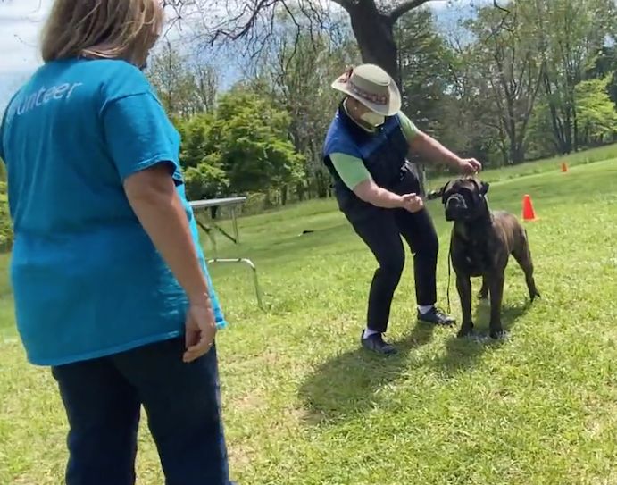 Look, But Don't Touch